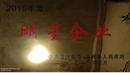 2010年度明星企業(yè)