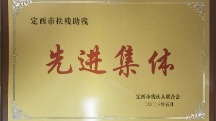 定西市扶殘助殘先進(jìn)集體